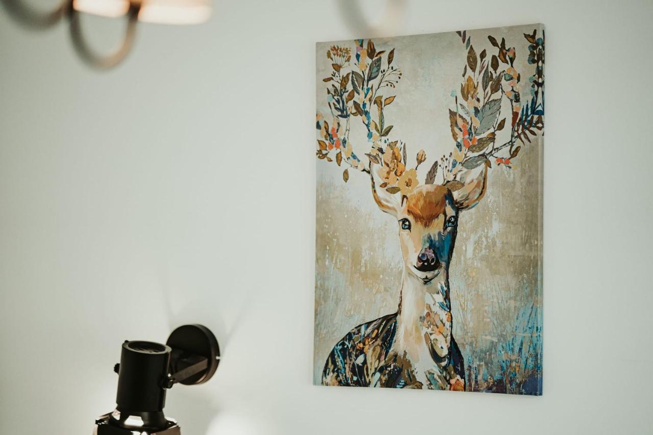 Jeleni Jar Apartamenty Duszniki Zdroj Luaran gambar